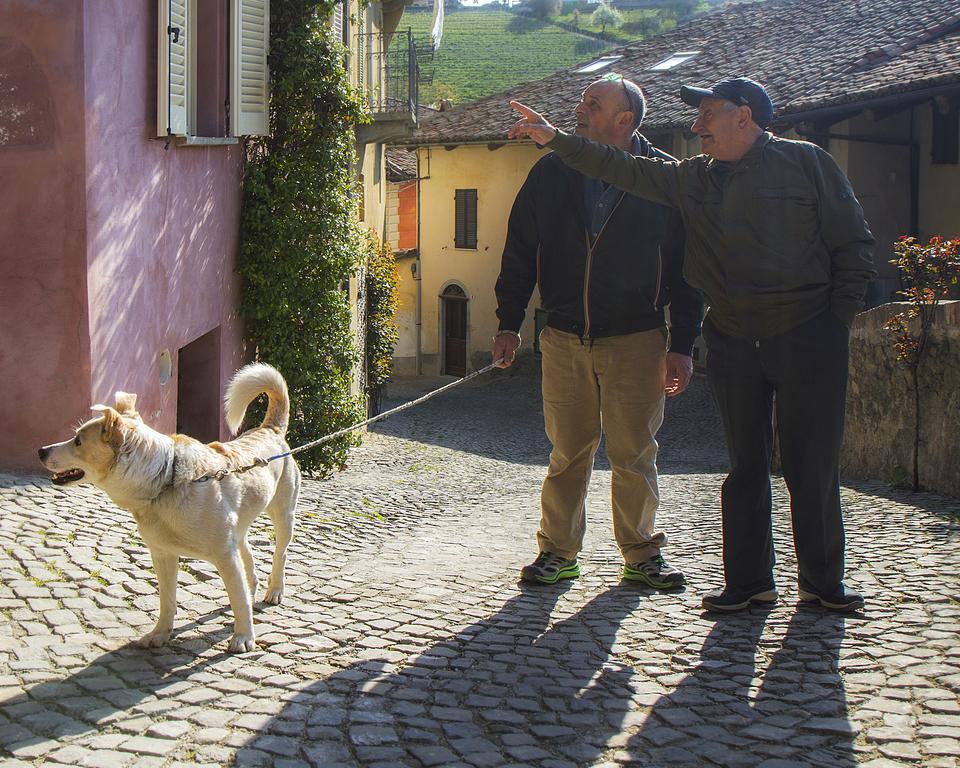 Dimora I Manichei Ξενοδοχείο Monforte dʼAlba Εξωτερικό φωτογραφία